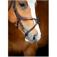 Produktbild von Montar Lyon Fig 8 Jumping ECO Reittrense aus veganem Leder Full Bit Schwarz oder Braun