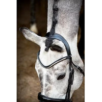 Produktbild von Montar Normandie Deluxe ECO Reittrense aus veganem Leder in Schwarz