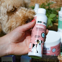 MOOIZA Pet Biotic Pro Probiotika für Hunde und Katzen mit fermentierten Kräutern zur Unterstützung von Verdauung und Immunsystem 150ml - 150 ml – Bild 1 von 6