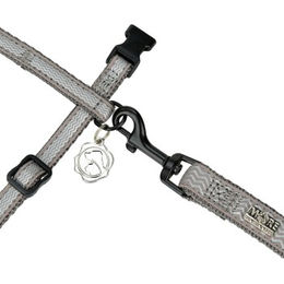 MORE Katzengeschirr Royal mit Leine reflektierend grau für Katzen – Bild 1 von 2