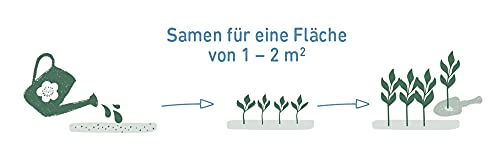 Produktbild von Moses Bienenhaus Bienenbar Bunt