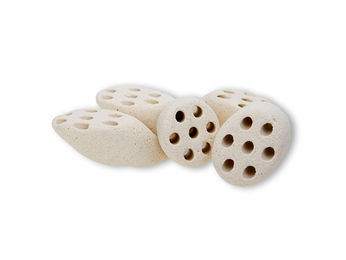 Produktbild von Mountain Tree Lotus-Wurzel Nitroring Keramik Filtermedien Beige 19.8g