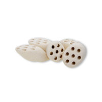 Produktbild von Mountain Tree Lotus-Wurzel Nitroring Keramik Filtermedien Beige 19.8g