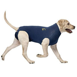 MPS Medical Pet Shirt Hund Blau Baumwolle Größe XXL für große Rassen – Bild 1 von 4