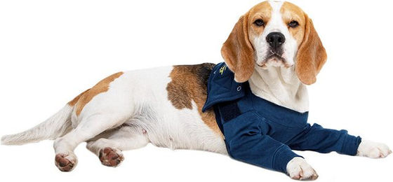 MPS Medical Pet Shirt Hund Doppelte vordere Beinmanschette aus Baumwolle Blau XL – Bild 1 von 2