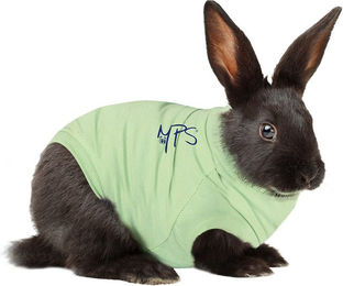 MPS Medical Pet Shirt Kaninchen Baumwolle Grün XXXS – Bild 1 von 4