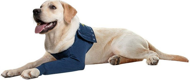 MPS Medical Pet Shirt TAZ Vorderbein Ärmel für Hunde aus Baumwolle Blau XL – Bild 1 von 5