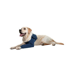 Produktbild von MPS Medical Pet Shirt TAZ Vorderbeinschutz für Hunde aus Baumwolle Blau Größe L