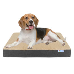 Mr. Cuddles Orthopädische Hundematte XL in Beige mit waschbarem Bezug – Bild 1 von 13