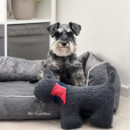 Mr. Cuddles Plüschspielzeug Stoffhund in Grau – Bild 1 von 3