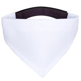 Mr. & Mrs. Panda Hund Halstuch Bandana Fuchs Laterne Weiß Polyester Größe L – Bild 1 von 2