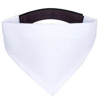 Produktbild von Mr. & Mrs. Panda Hund Halstuch Bandana Fuchs Laterne Weiß Polyester Größe L