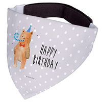 Produktbild von Mr. & Mrs. Panda Hunde Halstuch Bär Geburtstag Grau Weiß Stoff Größe M