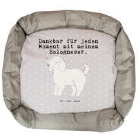 Produktbild von Mr. & Mrs. Panda Hundebett Bologneser Moment Grau Größe L aus Polyester