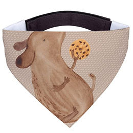 Mr. & Mrs. Panda Hundehalsband Keks Design in Braun und Beige Größe M – Bild 1 von 2