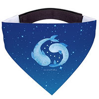 Produktbild von Mr. & Mrs. Panda Hundehalsband Sternzeichen Fische Blau Größe M