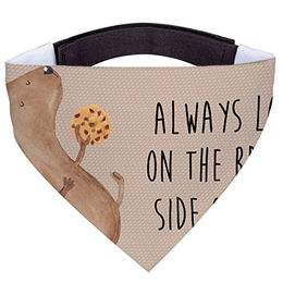 Mr. & Mrs. Panda Hundehalstuch Keks Design in Braun und Beige aus Polyester – Bild 1 von 3