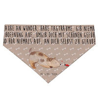 Produktbild von Mr. & Mrs. Panda Hundehalstuch Marienkäfer Design aus Polyester in Braun und Beige Größe S