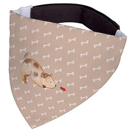 Mr. & Mrs. Panda Hundehalstuch Marienkäfer Stoff Braun Beige Größe S – Bild 1 von 3