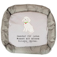 Produktbild von Mr. & Mrs. Panda Hundekissen Bolonka Zwetna Moment Grau für Welpen