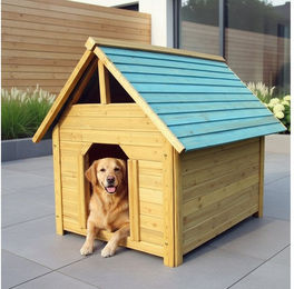 Mucola XXL Hundehütte aus Holz wetterfest und wasserdicht für mittelgroße Hunde – Bild 1 von 13