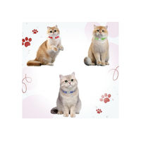 Produktbild von MuffiMau Katzen-Halsband Set aus Nylon mit Glöckchen und Reflektor verstellbar 21,5–28 cm für Katzen und kleine Hunde