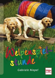 Produktbild von Müller Rüschlikon Welpenspielstunde für Welpen