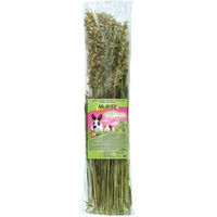 Produktbild von MultiFit Haferrispen mit getrockneten Kräutern 120 g - 120 g