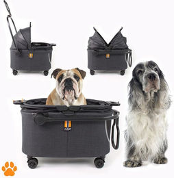 My Duque Coco II Haustiertransportbox mit Rollen für Hunde bis 8 kg aus Polyester und Mesh – Bild 1 von 1