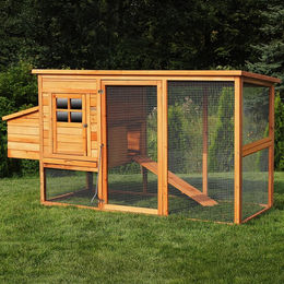 Produktbild von MyAnimal Hühnerstall MH-04 aus Holz für Hühner und Wachteln mit Eiablage und wasserabweisendem Dach in Braun