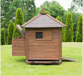 MyAnimal Hühnerstall MH-11 aus Holz für 3 Hühner mit Nistkasten und abnehmbarem Dach in Braun – Bild 1 von 1