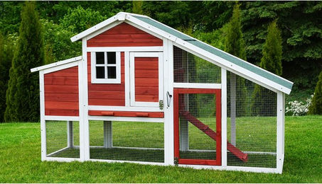 Produktbild von MyAnimal Hühnerstall MH-32 aus Holz für 4 Hühner mit Eiablage und abnehmbarem Dach in Rot/Weiß
