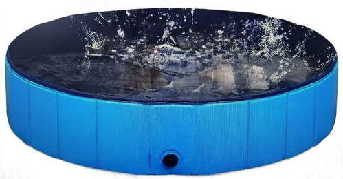 MYPETS Hundepool Planschbecken aus Kunststoff in Blau – Bild 1 von 4