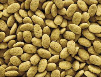 Produktbild von Nahrungsergänzungsmittel für Vögel Nobby Pet Nutribird P15 Original 3 kg