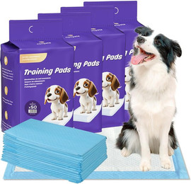 Produktbild von NANIPETS Hundematte Trainingspad für Hunde Welpenunterlagen,