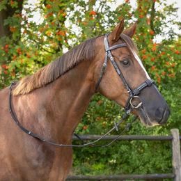 Produktbild von Nasen- und Mückenschutz für Pferde Q-essentials