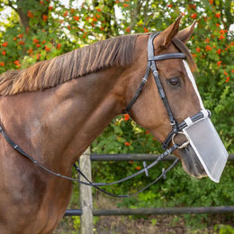 Produktbild von Nasenschutz für Pferd QHP UV