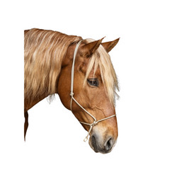 Produktbild von Natürliches Reithalfter