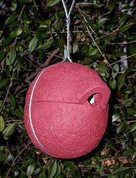 Produktbild von Naturschutzprodukt Nisthilfe Zaunkönigkugel 1ZA Herbstlicht rot