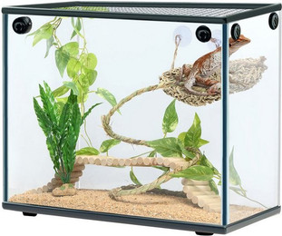 Produktbild von Navaris Bartagamen Zubehör 5er Set