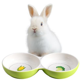 Produktbild von Navaris Doppelnapf Fressnapf aus Keramik für Kleintiere