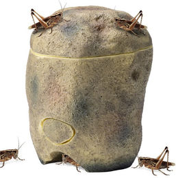 Produktbild von Navaris Grillen-Fütterungsstein für Terrarien