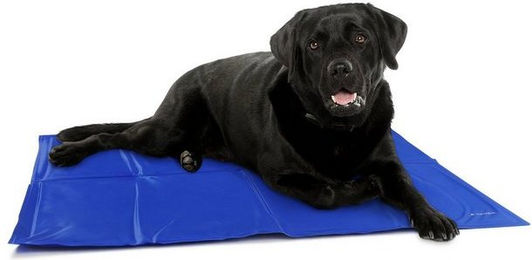 Produktbild von Navaris Kühlmatte für Hunde und Katzen