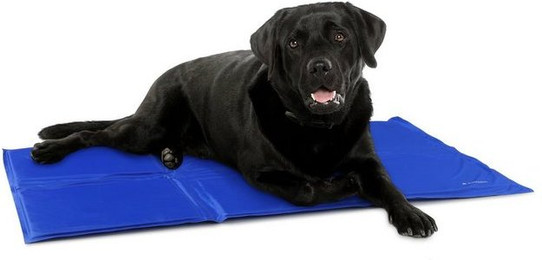 Produktbild von Navaris Kühlmatte für Hunde und Katzen 50x90 cm