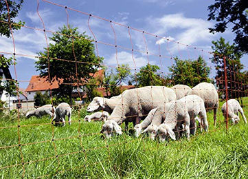 Netz für Zaun Spitze Ako OviNet – Bild 1 von 3