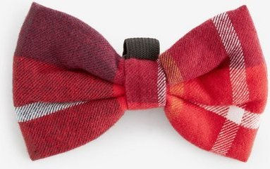 Produktbild von Next Hundefliege Haustier-Fliege, Baumwolle