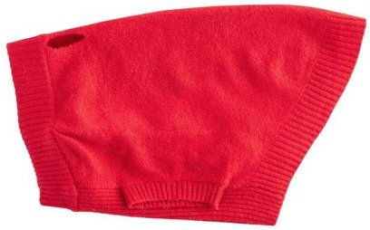 Produktbild von Next Hundepullover Pullover mit Hundemotiv