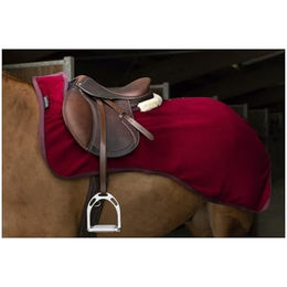 Nierendecke Equithème Teddy – Bild 1 von 3