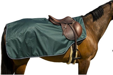 Produktbild von Nierendecke für Pferd Polar Equithème Tyrex 600D