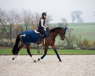 Produktbild von Nierendecke für Pferd Polar HFI Velvet